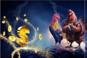 Cập Nhật Mới Nhất Về Đá Gà 79SODO Mới Nhất