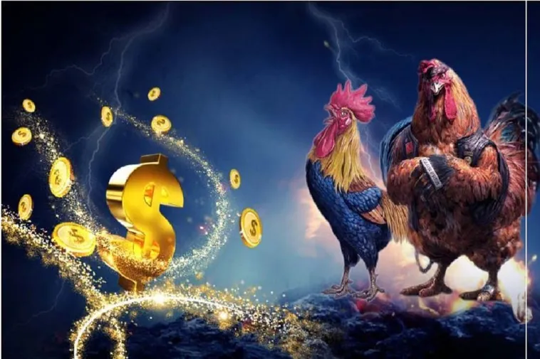 Tham Gia Đá Gà AZ888: Khám Phá Đỉnh Cao Giải Trí Cá Cược 1 Tham Gia Đá Gà AZ888: Khám Phá Đỉnh Cao Giải Trí Cá Cược