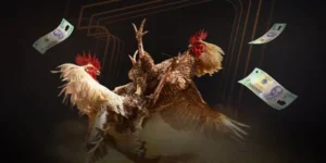 Hướng Dẫn So Sánh Và Chọn Lựa Đá Gà VINBET: Trải Nghiệm Cá Cược Hấp Dẫn