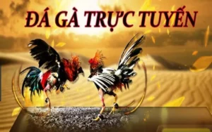 Hướng Dẫn So Sánh Và Chọn Lựa Đá Gà BJ88: Trải Nghiệm Cá Cược Hấp Dẫn